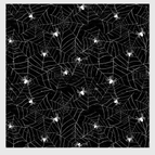 Spiders